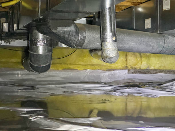 Best Water damage restoration specialists  in Delhi, LA