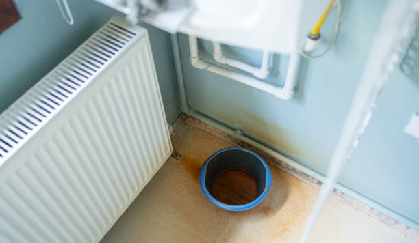 Best Water damage mitigation services  in Delhi, LA