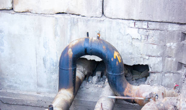 Best Professional water damage repair  in Delhi, LA