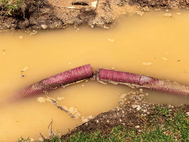 Delhi, LA Water damage restoration Company