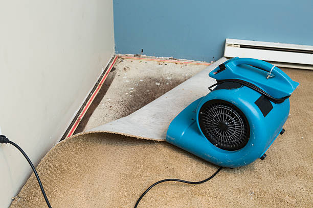 Best 24/7 water damage repair  in Delhi, LA